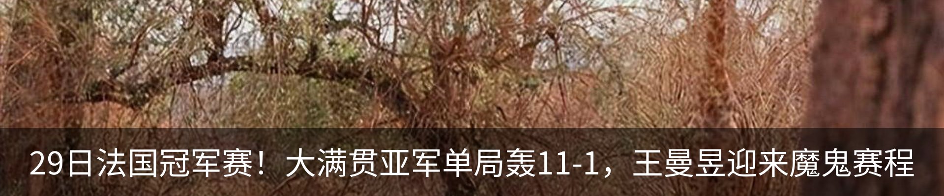 最新动态